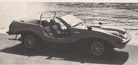 Technical Exponents TX Tripper 1,3-Liter-Triumph-Motor