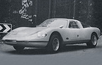 Thurner  (1969)