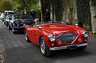 Tierischer Beifahrer - Swiss Classic British Car Meeting Morges 2019