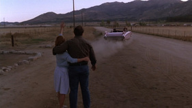 Tommy und Lou Ann verlassen deren Schwester auf der Suche nach dem Baby - im Film "Pink Cadillac" von 1989