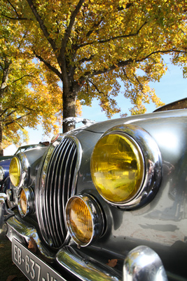 Ton-in-Ton - Jaguar Mk II und der herbstliche Baum - Swiss Classic British Car Meeting Morges 2017