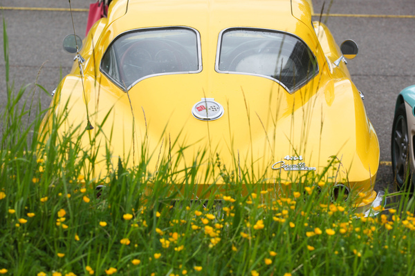Ton sur ton - Chevrolet Corvette C2 vor Blumenpracht - Albisgütli Classics April 2022