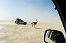 Toyota Land Cruiser 90 in Südafrika (© Toyota, 2019) Toyota Land Cruiser 90 in Südafrika (© Toyota, 2019)