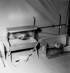 Transportable Rotisserie - Genfer Automobilsalon 1959