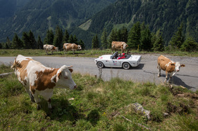 Triumph TR 250 (1968) - mit Startnummer 167 an der Ennstal-Classic 2017