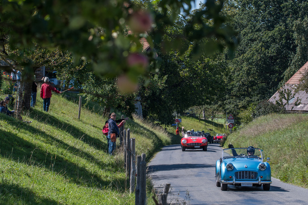Triumph TR3 (1956) im Feld Sport- und Tourenwagen 1946-1965 am Grand Prix Suisse Berne Memorial 2018