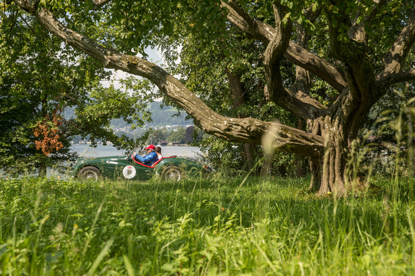 Triumph TR3 (1960) - 32. Ennstal-Classic 2024