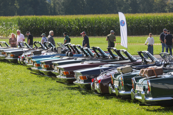 Triumph TR3 to TR6 in rank and file - Fantastic Plastic and Triumph Day 2025