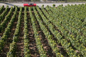 Triumph TR6 (1973) - an der 16. OCC Jungfrau-Rallye 2021