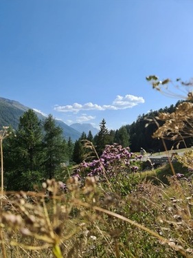 Trotz langer Nacht noch etwas Sinn für Landschaft und Natur - Alpenbrevet 2025
