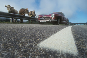 Über die originale Himbeer-Lackierung des 300SL wundern sich sogar die anständig hinter der Leitplanke stehenden Kühe
