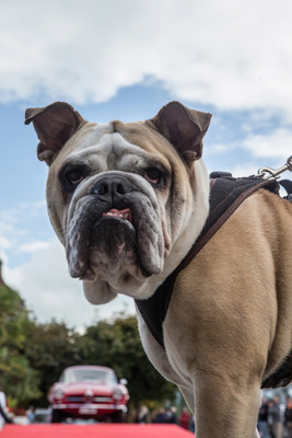 Um jeglichen Betrug zu verhindern, wurden spezielle “Kontrollen” aufgefahren.