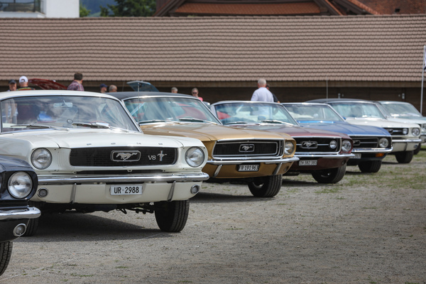 V8 muss drin sein und manchmal auch draufstehen. Die Wertschätzung für Sechszylinder-Mustangs steigt nur langsam - 8. Mustang & Shelby Meeting 2024
