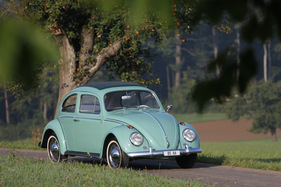 VW 1200 De Luxe (1961) - Der Besitzer ist wohl beim Äpfelpflücken