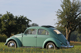 VW 1200 De Luxe (1961) - Mit offenem Rolldach in der freien Natur, hier kommt Freude auf