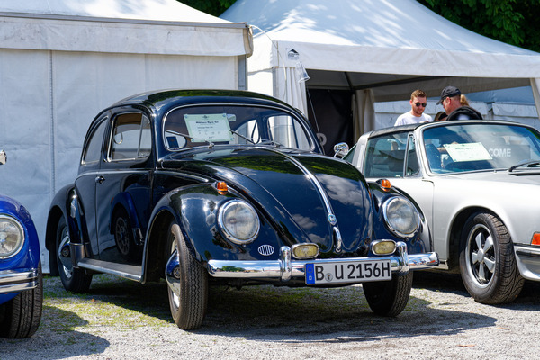 VW 1200 Export (1956) – ein "Ovali" im Top-Zustand – Oldtimer Open Air 2024