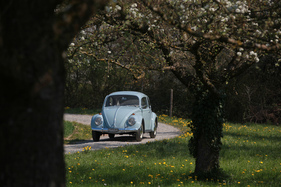 VW 1300 (1967) - "Kugel-Porsche" wurde er auch genannt