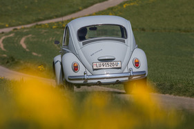 VW 1300 (1967) - die Käfer mit Baujahr 1967 hatten einen flacheren Motordeckel