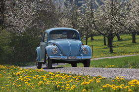 VW 1300 (1967) - die entlastete Hinterachse reagiert mit O-Beinen