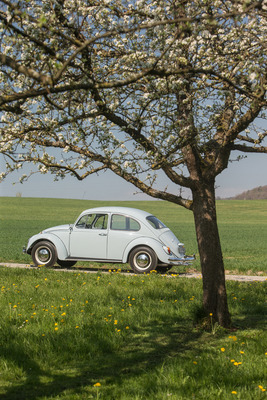 VW 1300 (1967) - die kleinen Verbesserungen von Jahr zu Jahr waren oft nur durch Kenner identifizierbar