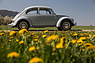 VW 1300 (1967) - die rundliche Form macht ihn unverkennbar (© Daniel Reinhard, 2020) VW 1300 (1967) - die rundliche Form macht ihn unverkennbar (© Daniel Reinhard, 2020)