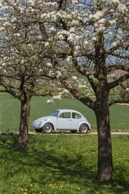 VW 1300 (1967) - schon damals praktisch ein Oldtimer