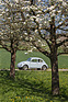 VW 1300 (1967) - schon damals praktisch ein Oldtimer (1967)