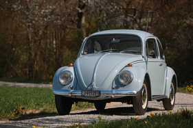 VW 1300 (1967) - viel Bodenfreiheit