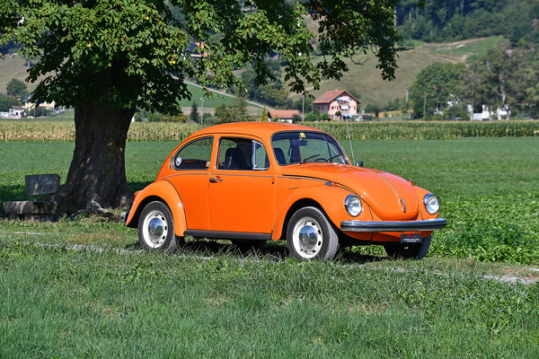 VW 1302 (1971) - als Lot 155 an der Versteigerung der Oldtimer Galerie Toffen am 14. Oktober 2023 angeboten
