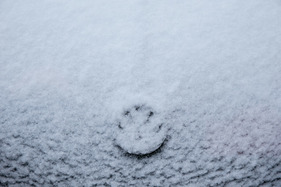 VW 1500 (1967) - VW-Zeichen noch knapp ersichtlich - Teichalm Winterclassic 2018