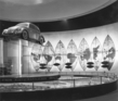 VW (1955) - Internationale Automobilausstellung (IAA) in Frankfurt 1955 - Vorhalle bei VW mit 'goldenem' VW