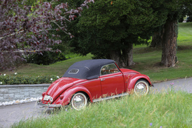 VW Käfer 1100 Hebmüller Cabriolet (1949) - ACS Concours d'Excellence International Luzern 2022 (1949)