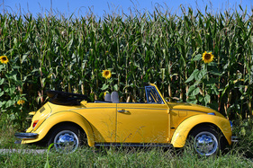VW Käfer 1300 Cabriolet (1972) - gemeldet als Lot 117 für Versteigerung der Oldtimer Galerie Toffen vom 17. Oktober 2020