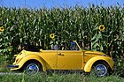 VW Käfer 1300 Cabriolet (1972) - gemeldet als Lot 117 für Versteigerung der Oldtimer Galerie Toffen vom 17. Oktober 2020