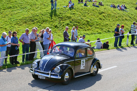 VW Käfer (1953) - am Gempen Memorial 2014 (1953)