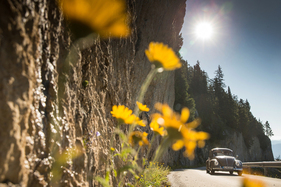 VW Käfer (1955) - 33. Ennstal-Classic 2025