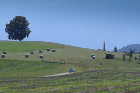 VW Käfer Deluxe 11 (1961) - an der OCC Jungfrau-Rallye 2016