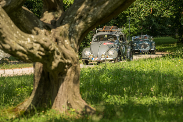 Bild: VW Käfer MM (1954) - 32. Ennstal-Classic 2024