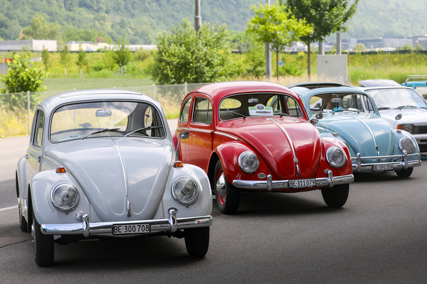 VW-Käfer-Trio - Old Wheels Biel-Bienne 2025