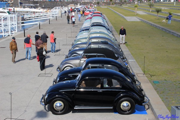 Bild VW Käfer aufgereiht an der Hafenpromenade von Funchal - Madeira’s Classic Motor Exhibition Funchal 2016