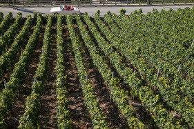 VW Karmann Ghia Cabrio (1971) - an der 16. OCC Jungfrau-Rallye 2021