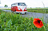 VW Transporter T1 (1960) - Blümchen in passendem Rot (© Kai-Uwe Knoth, 2020) VW Transporter T1 (1960) - Blümchen in passendem Rot (© Kai-Uwe Knoth, 2020)