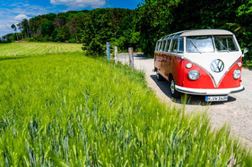 VW Transporter T1 (1960) - Der T1 neben Wiese VW Transporter T1 (1960) - Der T1 neben Wiese