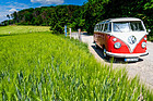 VW Transporter T1 (1960) - Der T1 neben Wiese