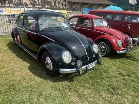 VW Typ 1 Käfer (1956) - Ovali zum Verkauf, ob die Schuhe dabei sind? (1956)