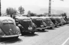 VW Typ 11 (1955) - Eine Ansammlung von Brezelkäfern im Jahre 1981 aufgenommen
