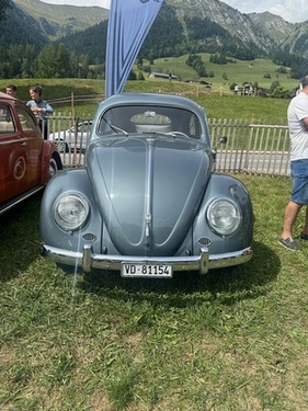 VW Typ1 Käfer (1954) - Ein Prachtsexemplar (1954)