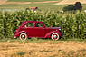 Vauxhall 12-4 (1947) - sicherlich kein Wunder der Aerodynamik (© Daniel Reinhard, 2022) Vauxhall 12-4 (1947) - sicherlich kein Wunder der Aerodynamik (© Daniel Reinhard, 2022)