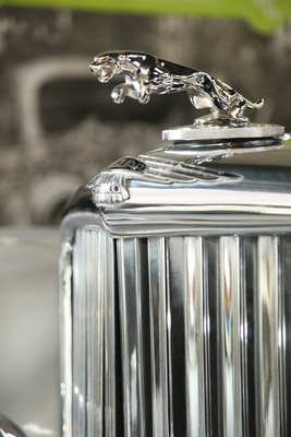 Versteigerung Oldtimer Galerie Toffen am 28. November 2015 - Jaguar-Kühlerfigur