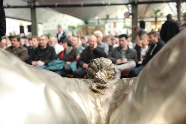 Bild Versteigerung Oldtimer Galerie Toffen am 28. November 2015 - voller Saal